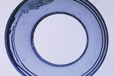 Appearance defect detection of horn adhesive